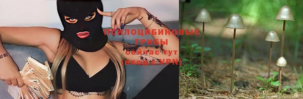 Альфа ПВП Богданович